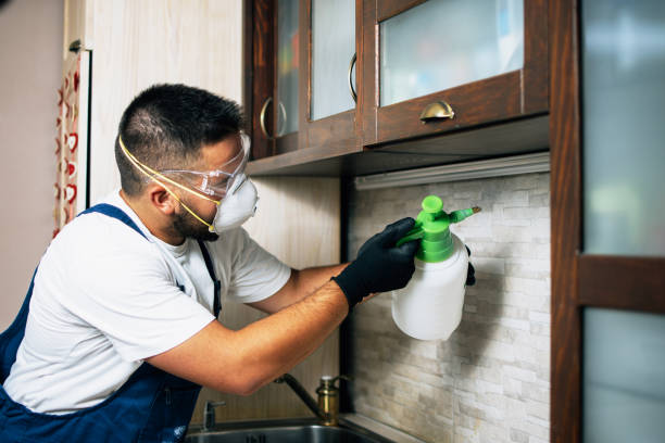 Best Wasp Removal Services  in Southport, NC