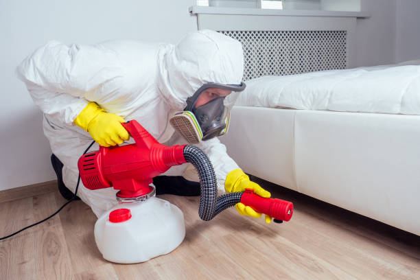 Best Affordable Pest Control Services  in Southport, NC