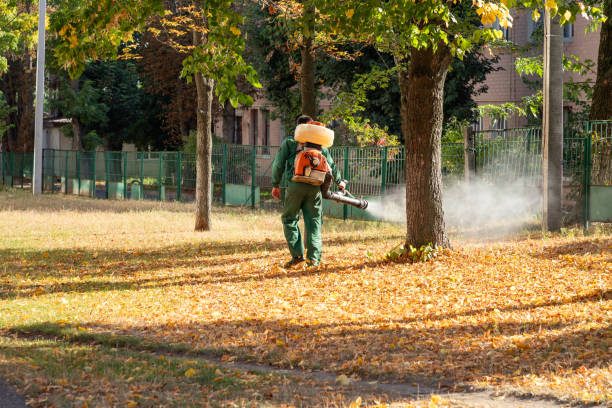 Best Mosquito Control Services  in Southport, NC
