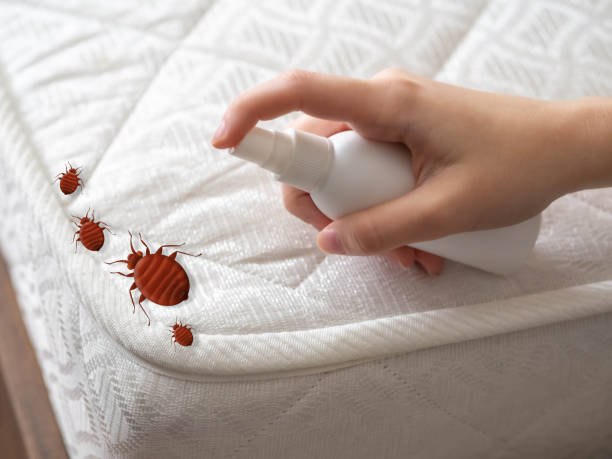 Best Pest Prevention Services  in Southport, NC